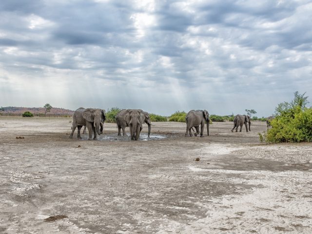 6 Unique Tour Experiences in Botswana